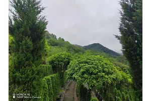 **重庆市墓园**
