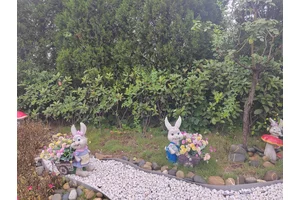 探秘，一览重庆市陵园