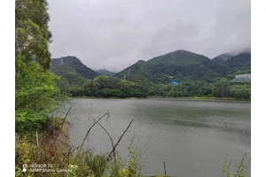 重庆市陵园主要价格表